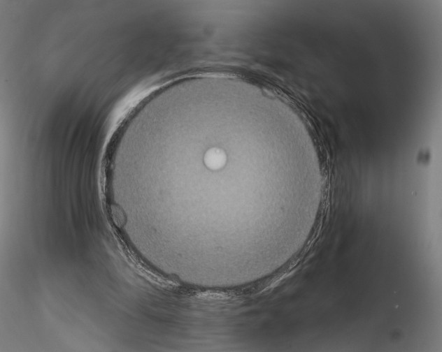 X0000115070294200912081154