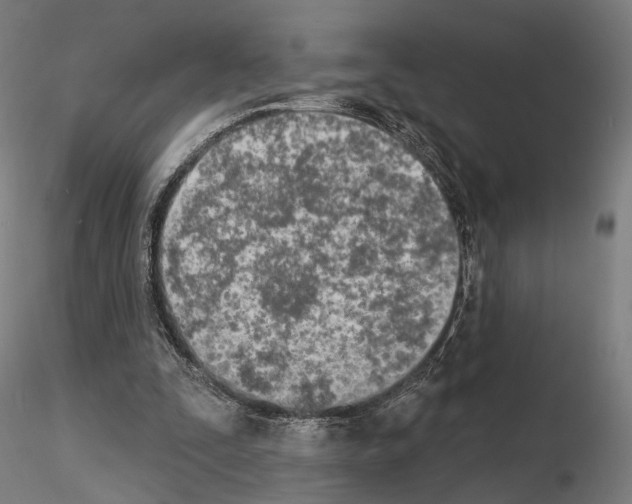 X0000115070295200912081154