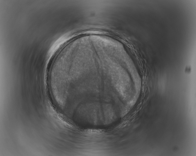 X0000115070296200912081154