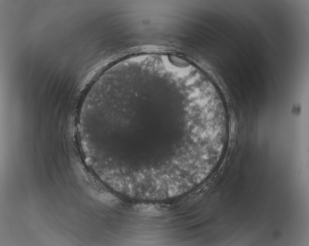 X0000115070297200912081154