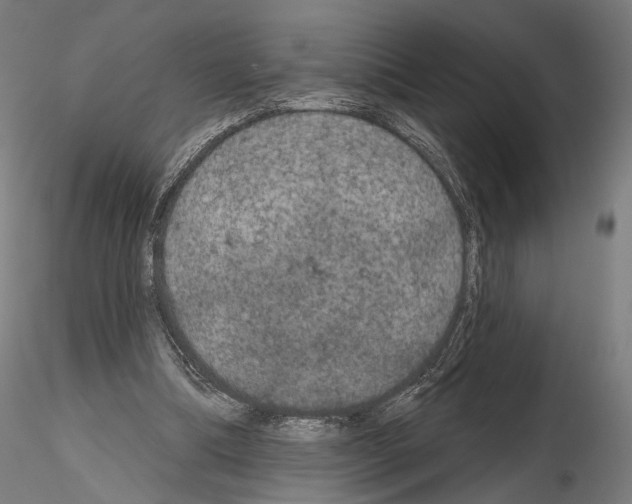 X0000115070298200912081154