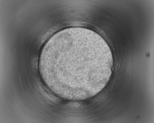 X0000115070299200912081154