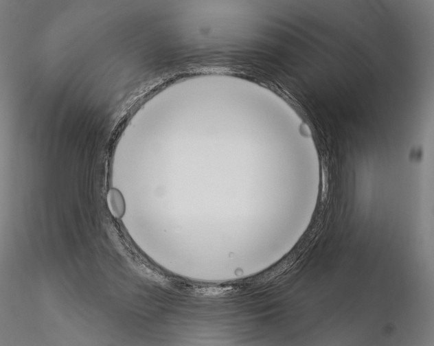 X0000115070301200912081154