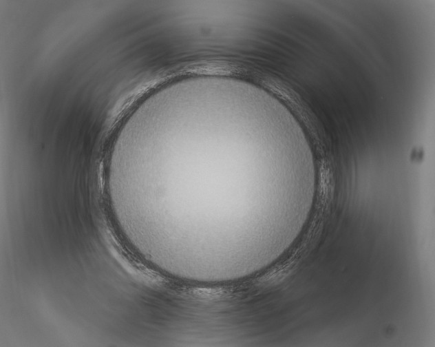 X0000115070302200912081154