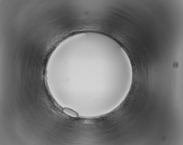 X0000115070303200912081154