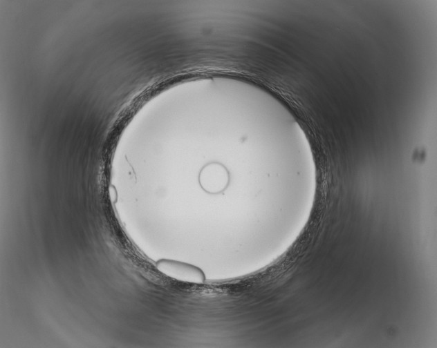 X0000115070304200912081154