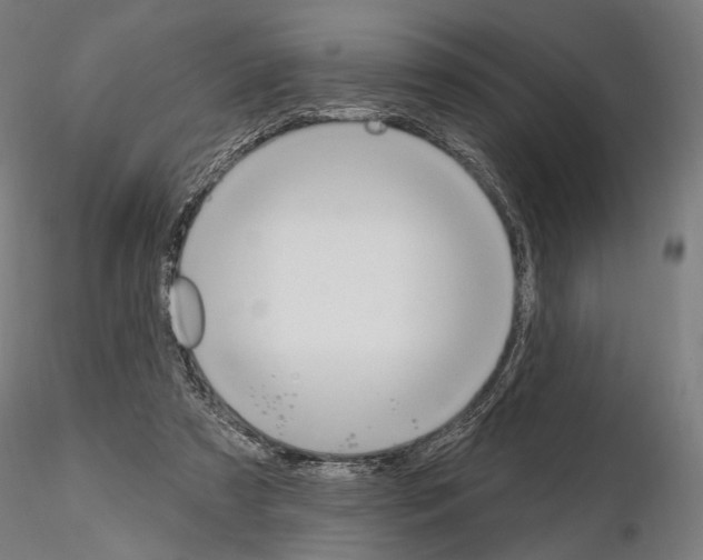 X0000115070305200912081154