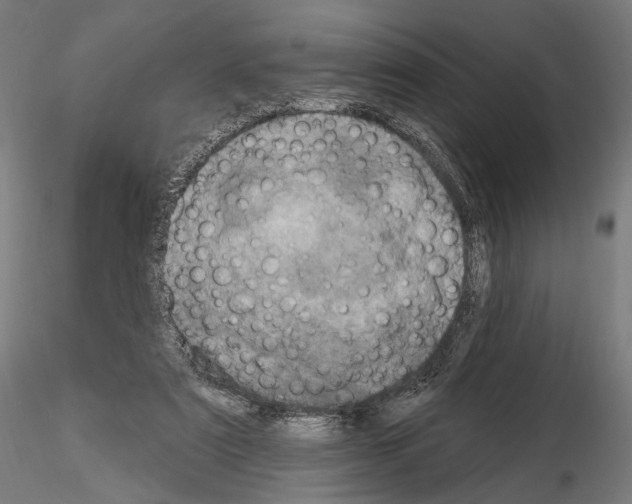 X0000115070307200912081154