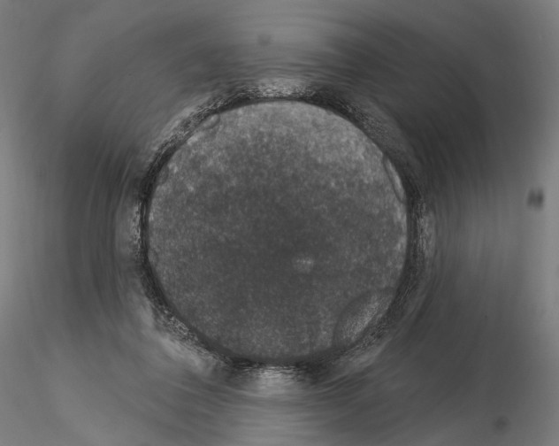 X0000115070308200912081154