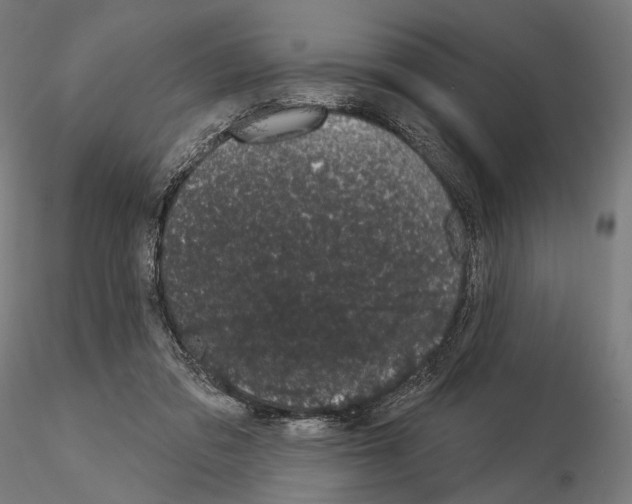 X0000115070309200912081154