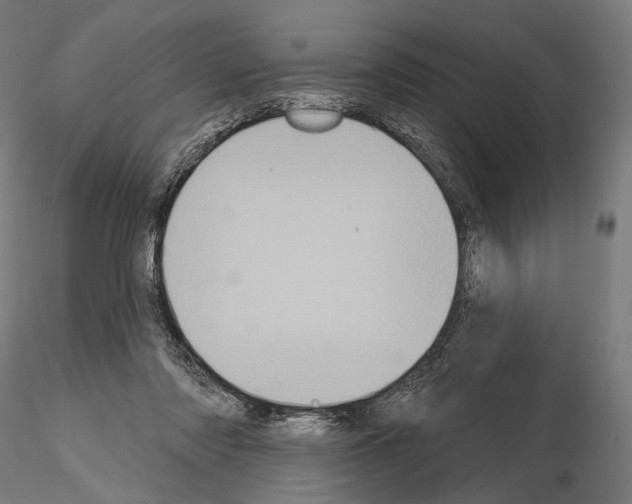 X0000115070310200912081154