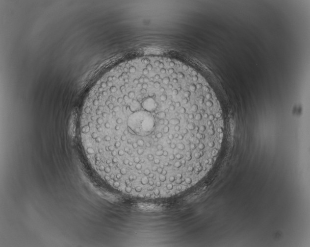 X0000115070311200912081154