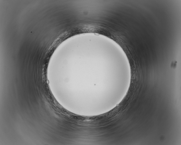 X0000115070312200912081154