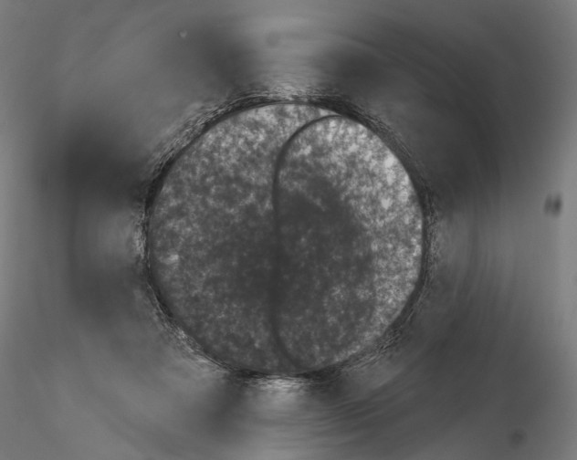 X0000115070313200912081154