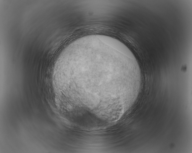 X0000115070315200912081154