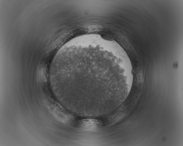 X0000115070316200912081154