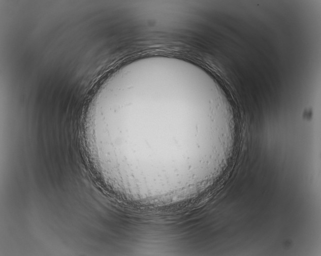 X0000115070317200912081154