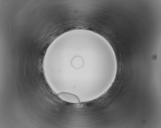 X0000115070320200912081154