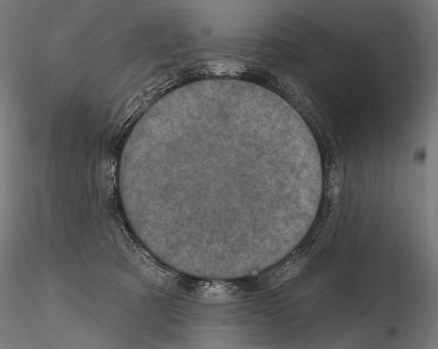 X0000115070321200912081154