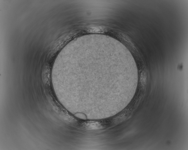 X0000115070322200912081154