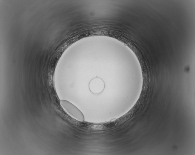 X0000115070324200912081154