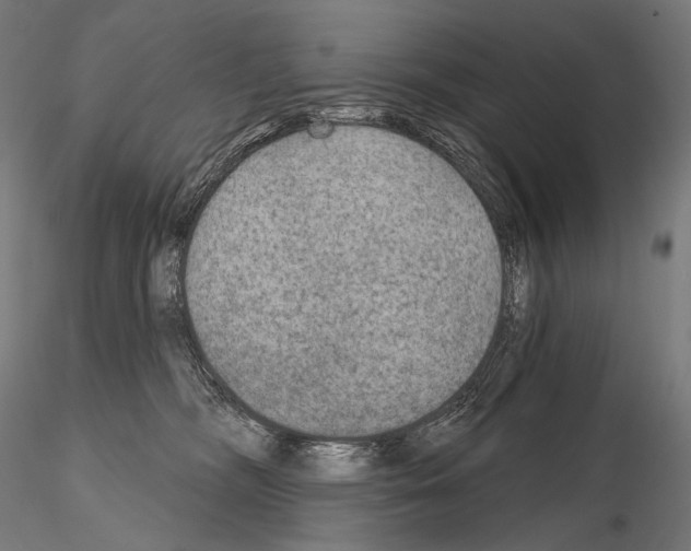 X0000115070326200912081154