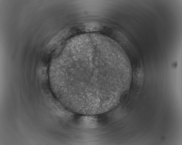 X0000115070327200912081154