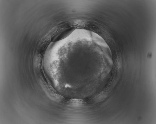 X0000115070328200912081154