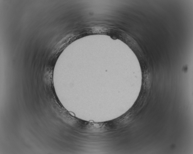 X0000115070329200912081154