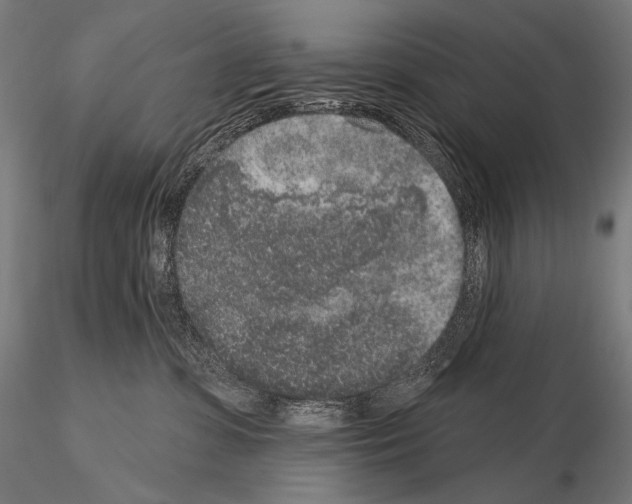 X0000115070331200912081154