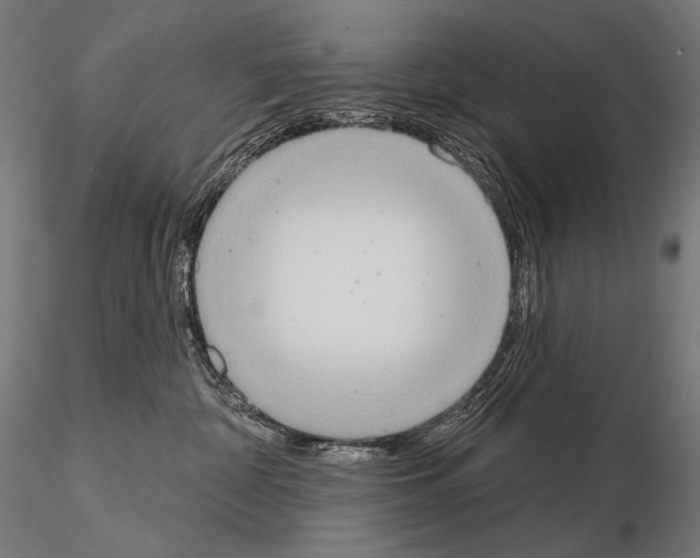 X0000115070332200912081153