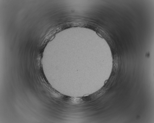 X0000115070333200912081153