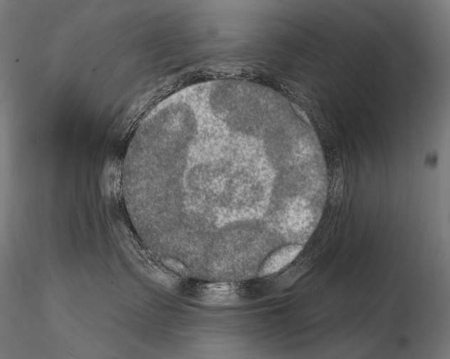 X0000115070335200912081153