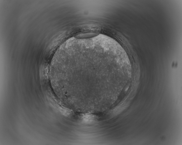 X0000115070336200912081153