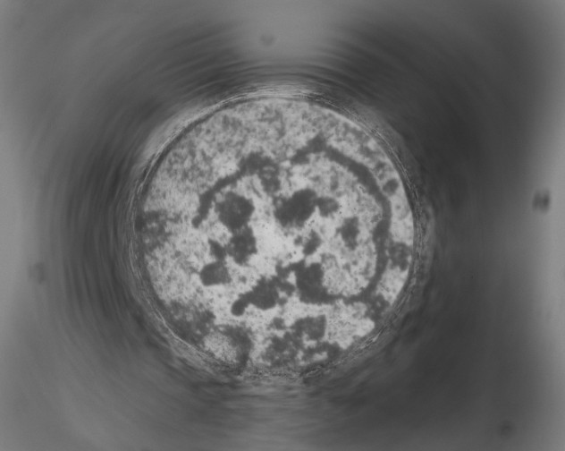 X0000115070337200912081153