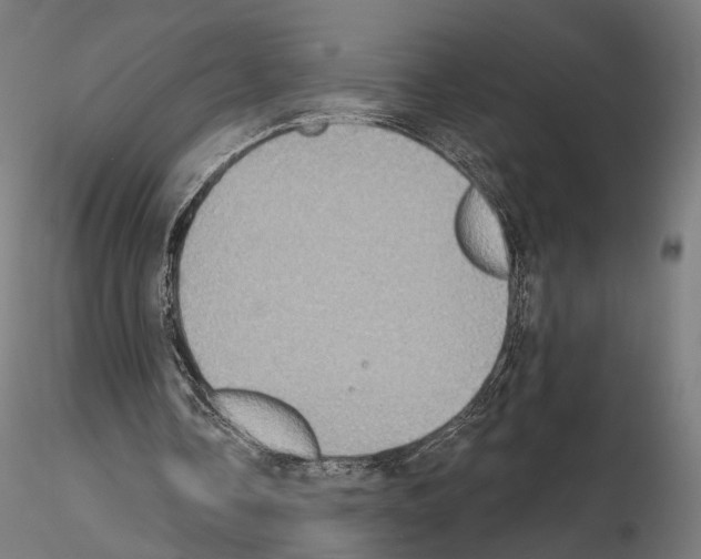 X0000115070338200912081153