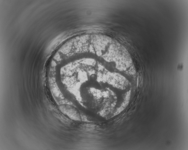 X0000115070339200912081153