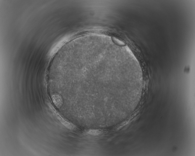 X0000115070341200912081153