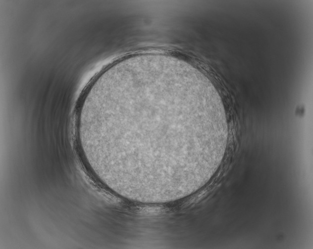 X0000115070342200912081153