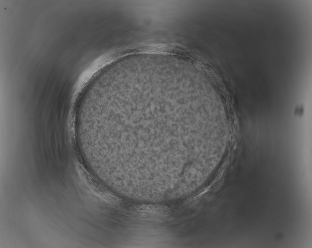 X0000115070343200912081153