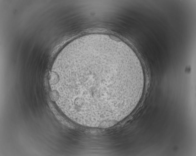 X0000115070345200912081153