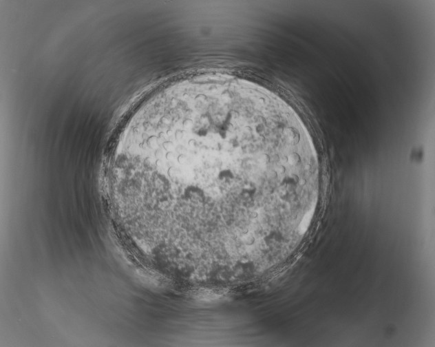 X0000115070346200912081153