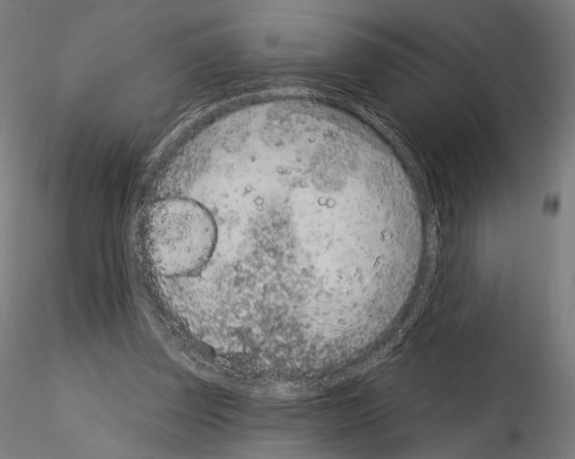 X0000115070347200912081153