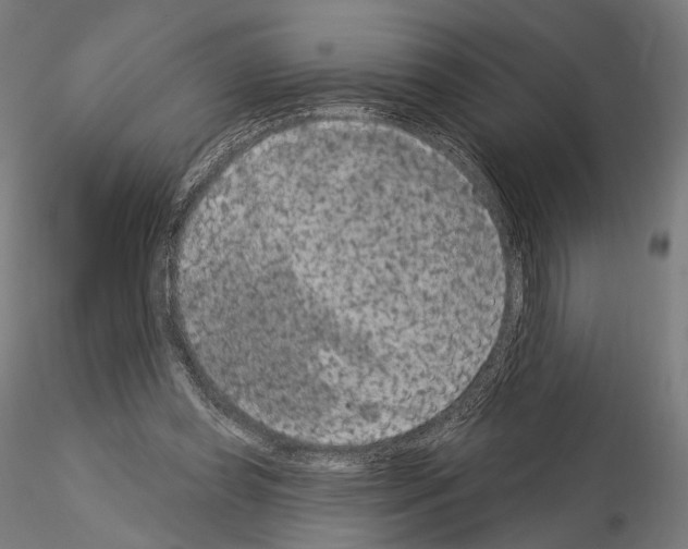 X0000115070349200912081153