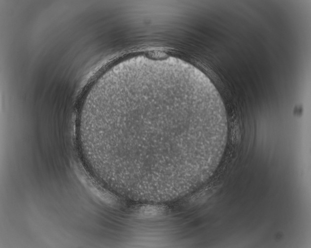 X0000115070350200912081153