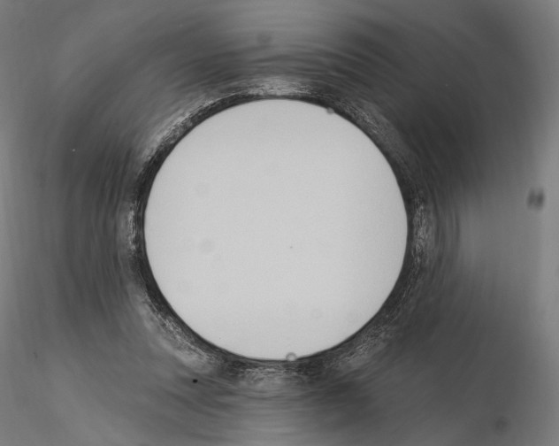 X0000115070351200912081153