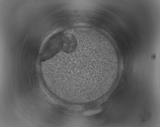 X0000115070353200912081153