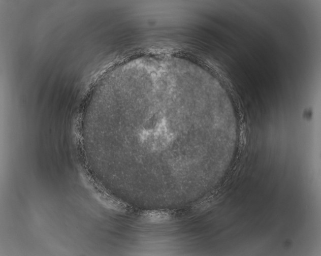 X0000115070354200912081153