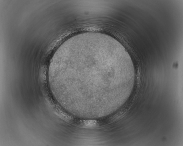 X0000115070355200912081153