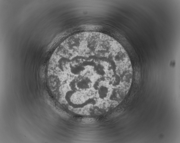 X0000115070357200912081153